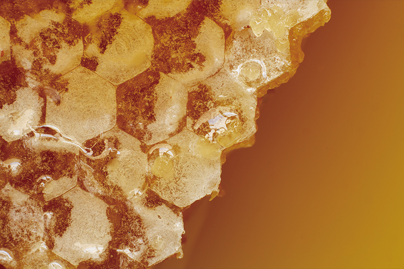 Is Your Honey Really Honey? - Science